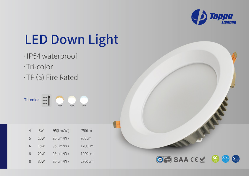 CE Rohs IP54 IP54 3Inch 4Inch 5Inch 6Inch 8Inch COB SMD LED Downlight